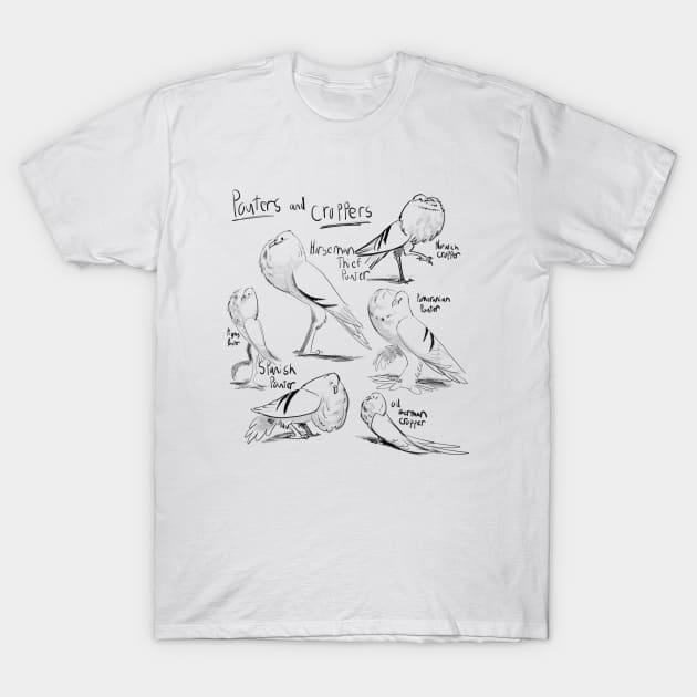 Pouter and Cropper Pigeons T-Shirt by Karatefinch